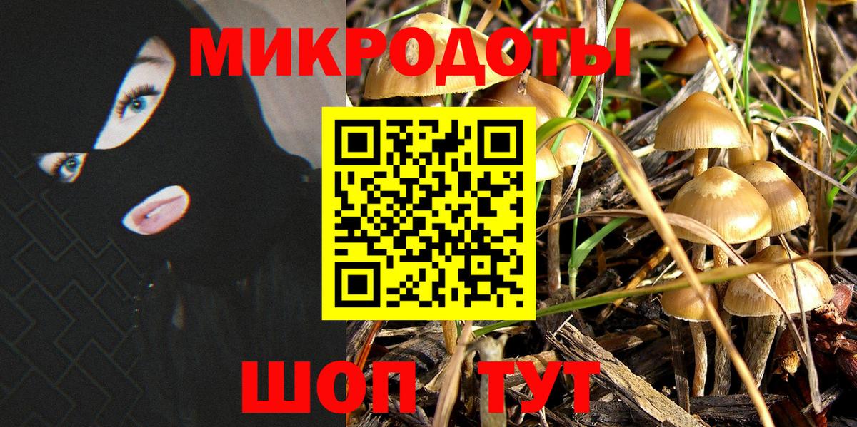 Псилоцибиновые грибы MAGIC MUSHROOMS Обнинск